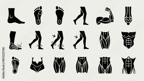 Human body anatomy illustrations vector set for health education