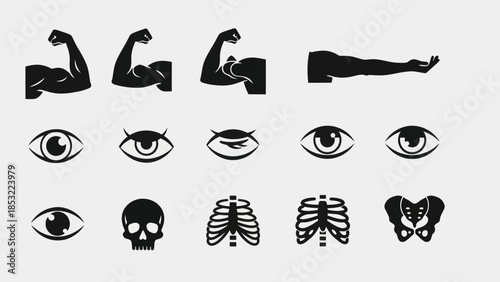Human body parts silhouettes arms eyes skull ribcage and pelvis