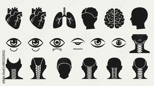 Human anatomy silhouettes heart lungs brain eye head and neck illustrations