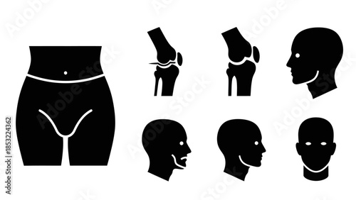 Human body silhouettes anatomy health and conceptual medical graphics