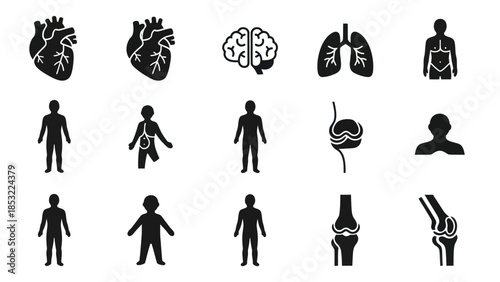 Human body and internal organ icons medical and health vector set
