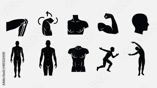 Human body silhouettes anatomy exercise and health illustration