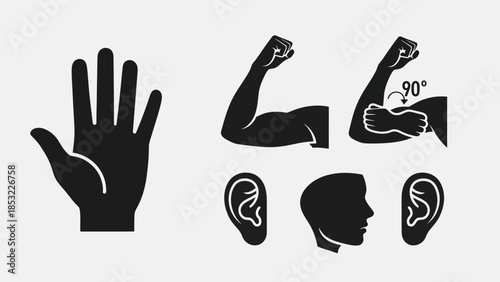 Human body parts silhouettes hand ear arm head vector graphics