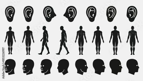 Human body silhouettes and ear illustrations for medical or educational use