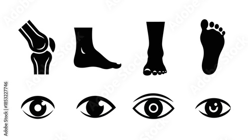 Human body parts silhouettes knee foot ankle and eye anatomy