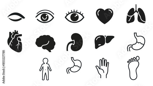 Human body organs icons set isolated on white background for education