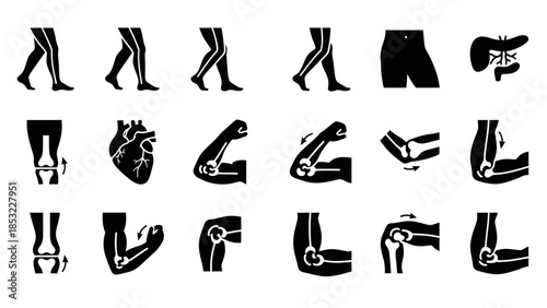 Human body parts silhouettes legs joints organs health and anatomy