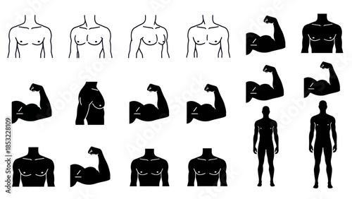 Human body silhouettes and muscle icons for health and fitness designs