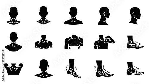 Human body parts and actions vector illustrations for health and fitness