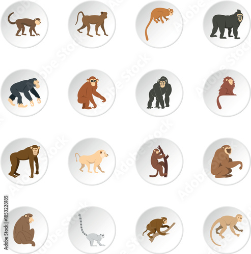 Monkey types icons set in flat style