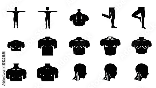 Human body silhouettes and poses for medical illustration and design