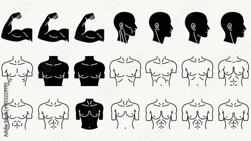 Human body silhouettes muscle arms heads torso outlines for design