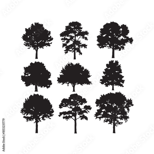 Collection of Detailed Vector Tree Silhouettes
