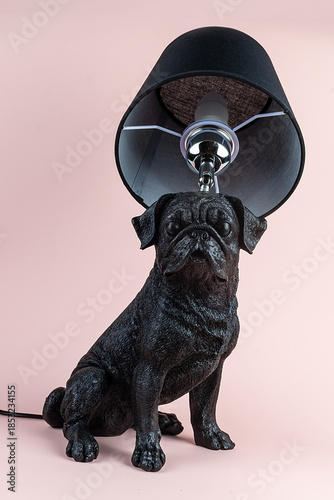 Light lamp growing in the room