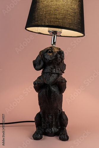 Light lamp growing in the room