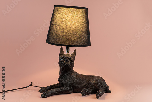 Light lamp growing in the room