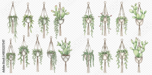 Watercolor collection of hanging macrame planters with various green plants and succulents, isolated elements.