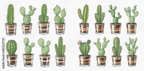 Collection of various watercolor potted cacti and succulents on a transparent background.