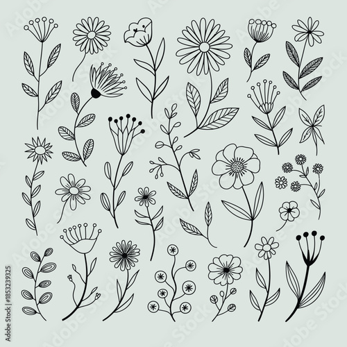 A whimsical collection of hand drawn outline flowers, stems, and botanical elements fills a light gray field