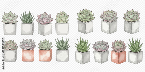 Collection of various watercolor succulent plants in square pots, perfect for home decor and botanical designs.