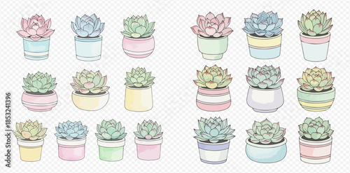 Collection of cute pastel succulent plants in colorful pots, perfect for decorative designs and illustrations.