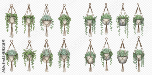 Set of hanging macrame planters with green house plants, string of pearls, and succulents, isolated on transparent background.