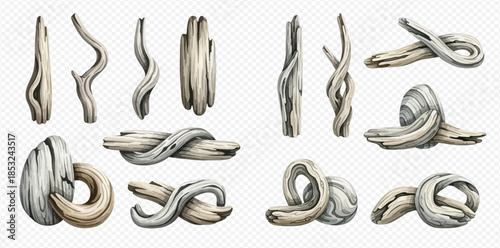 Set of various natural driftwood pieces with unique shapes and textures on transparent background.
