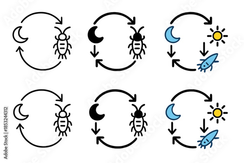 Plankton Migration Cycle. Circular migration cycle diagram connecting night ascent and day descent of plankton, balanced motion