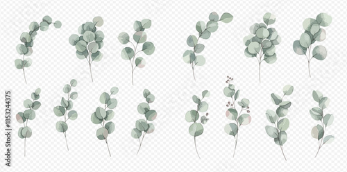 Set of watercolor eucalyptus branches, silver dollar, and red berries, isolated on transparent background, perfect for wedding invitations and floral designs.
