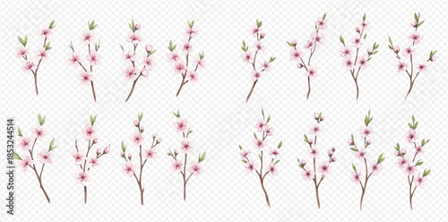 Set of blooming cherry blossom branches with delicate pink flowers and green leaves, perfect for spring designs.