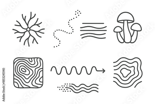 Fungal Research Icons. Line style icons of group movement fungal research: mycelial network, flowing spore path, layered motion