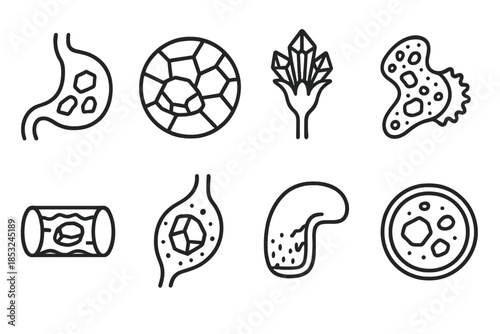Stone Processing Icons. Line style icons of stone processing organs: lithic stomach, mineral absorption node, crystal gland,