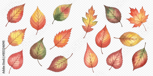Watercolor set of various autumn leaves in vibrant colors, perfect for seasonal designs.