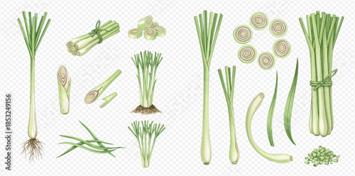 Fresh Lemongrass Stalks, Leaves, and Sliced Pieces for Culinary and Aromatic Uses.
