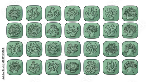 Illustration of various coral reef life forms on green square icons