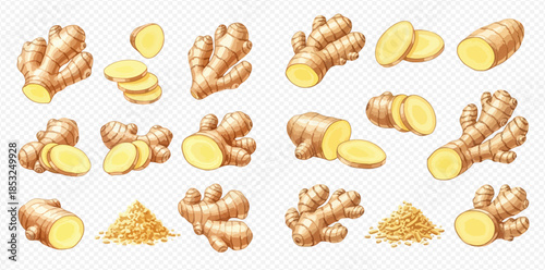 Fresh ginger root whole, sliced, and ground spice set isolated on transparent background.