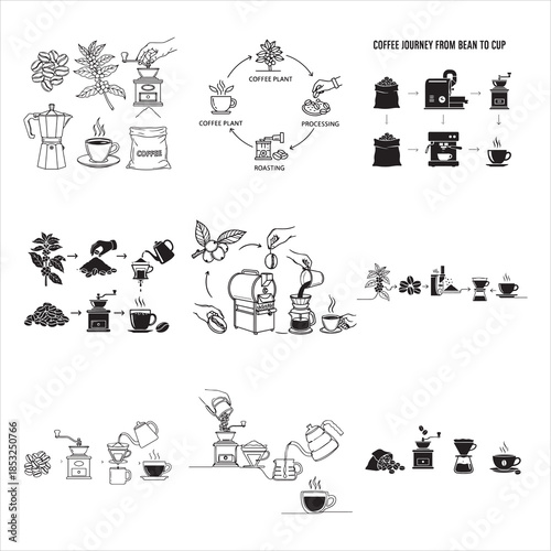 Coffee Production Journey Bean To Cup Black Vector