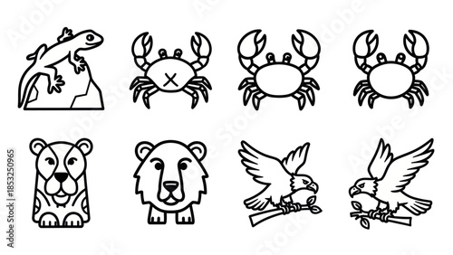 Line art animals collection reptiles crustaceans mammals and birds