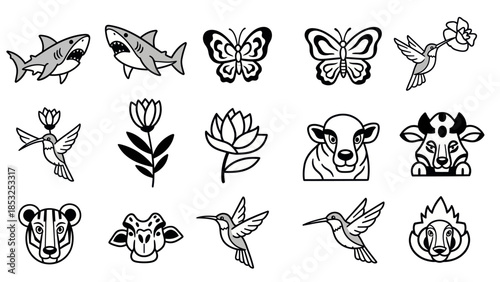 Set of line art animal illustrations including shark butterfly and hummingbirds