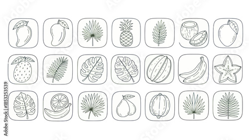 Line art tropical fruits and leaves in square frames vector illustration