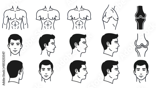 Male anatomy line art illustrations including torso profile and face views