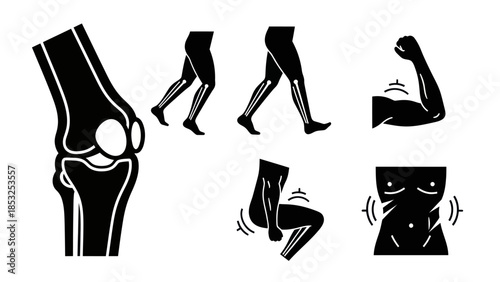 Medical illustrations of human bones and body parts in black and white