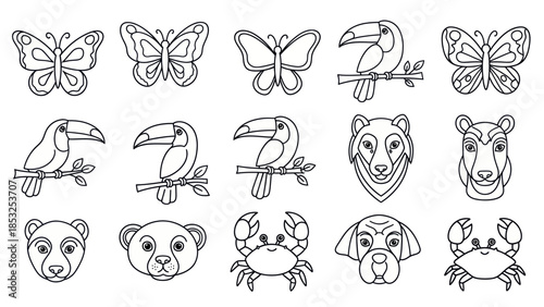 Outlined animal and insect collection butterflies toucans bears crabs and dog