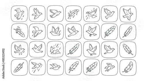 Set of minimalist bird and feather icons in a square frame for design