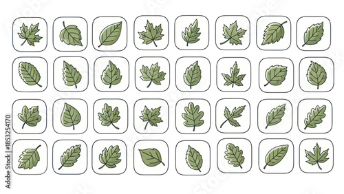 Set of various green leaf illustrations in square frames for design elements