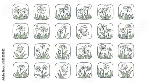 Set of minimalist floral and butterfly illustrations in square frames