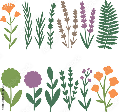 Colorful Floral Illustrations of Various Plants and Flowers on White Background