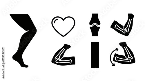 Medical anatomy illustration of body parts showing bone structure and vital organs