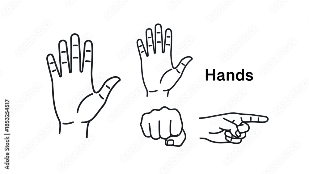 Fototapeta premium Outlined hand gestures illustrations demonstrating various actions