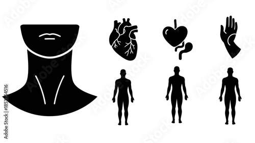 Medical anatomy illustrations depicting human body parts and silhouettes